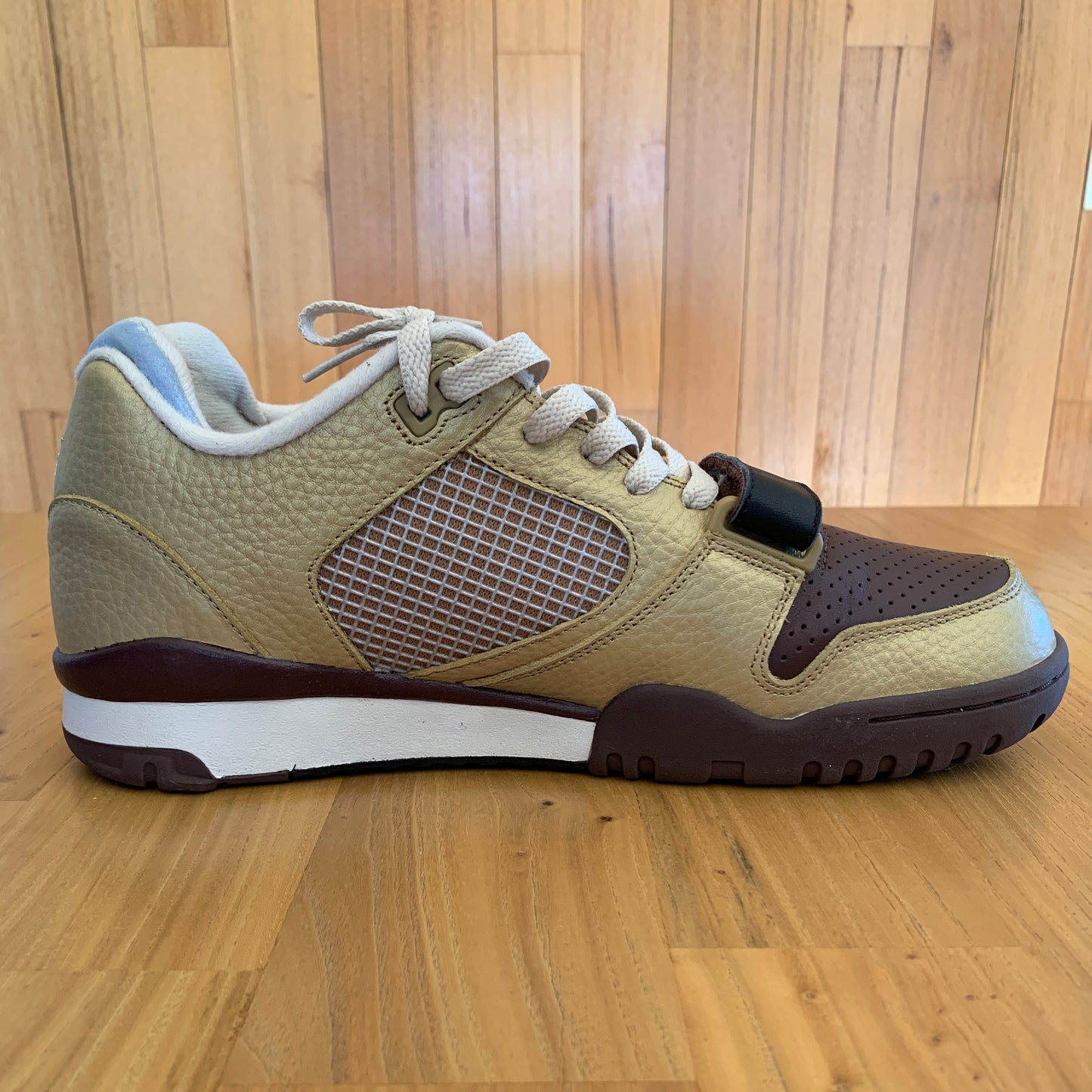 2007 NikeSB Air Trainer 2 Metallic Gold / Reflect Silver