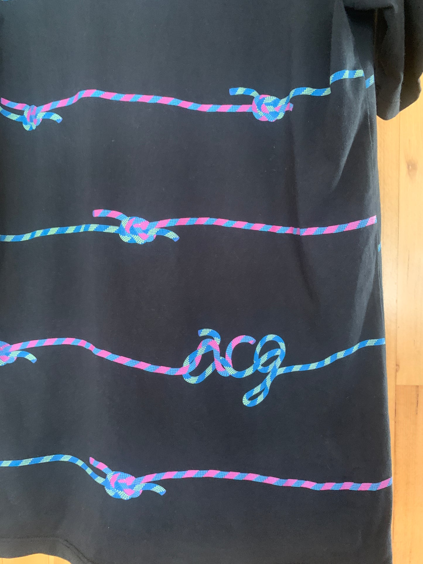 Nike ACG 20th Anniversary Ropes T-Shirt