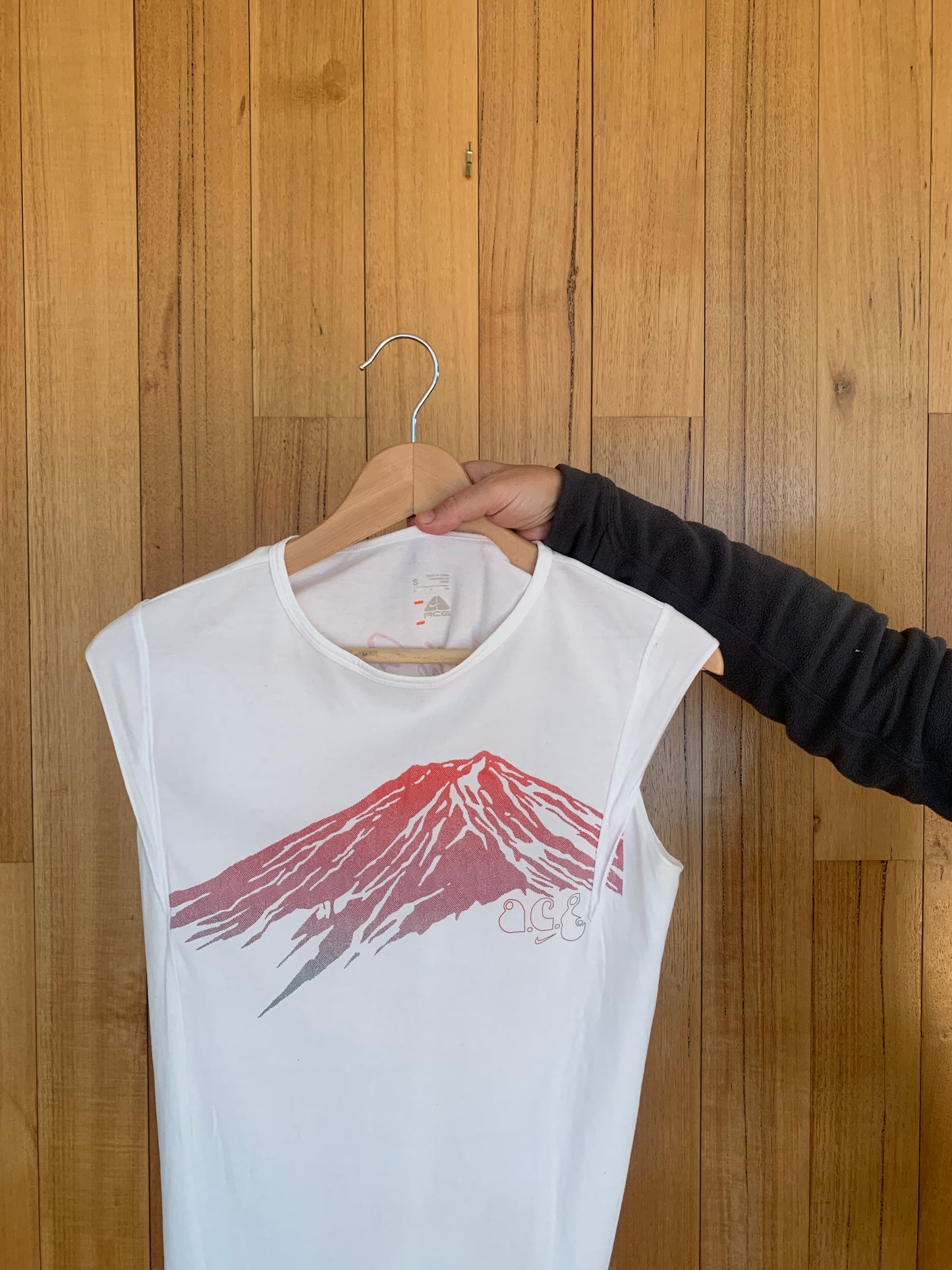 Nike ACG Consider the Future T-Shirt (Womens)