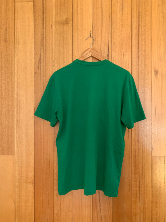 Nike Oregon Ducks 20 Year Anniversary 'The Pick'