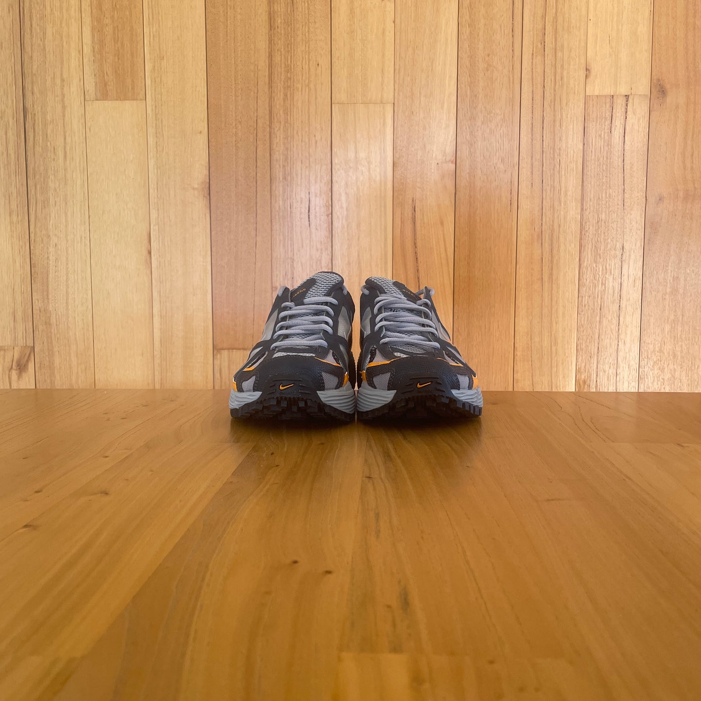 2006 Nike Air Zoom Steens III (3)