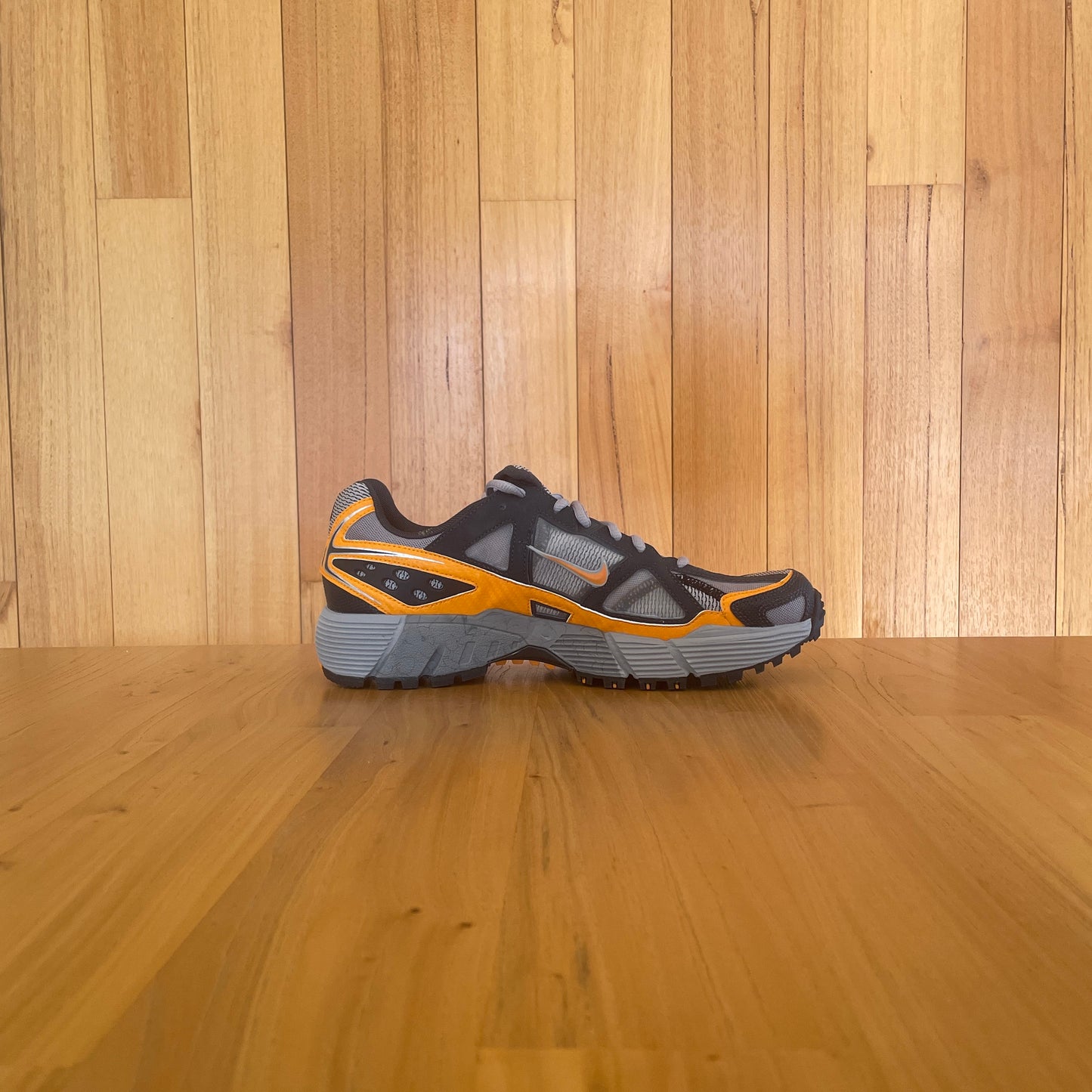 2006 Nike Air Zoom Steens III (3)