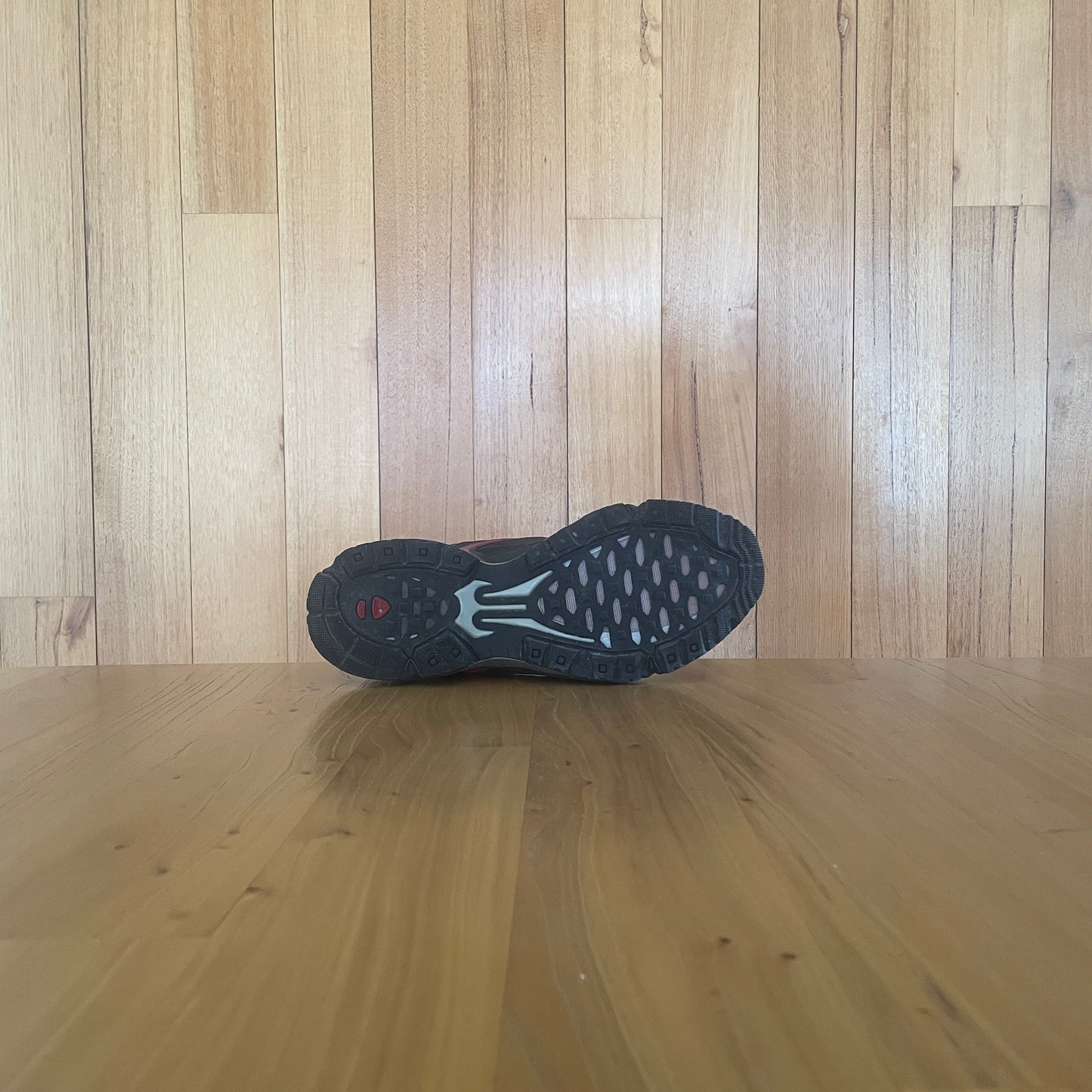 2008 Nike ACG Air Zoom Trail Ridge