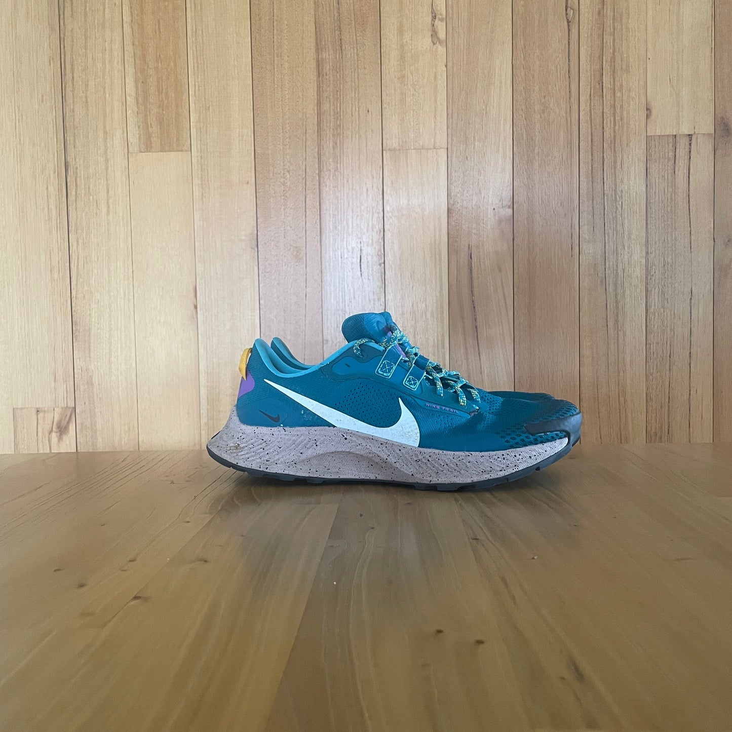 2021 Nike Pegasus Trail 3