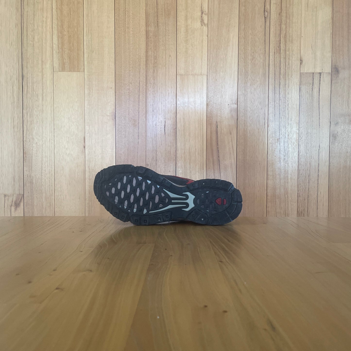 2008 Nike ACG Air Zoom Trail Ridge