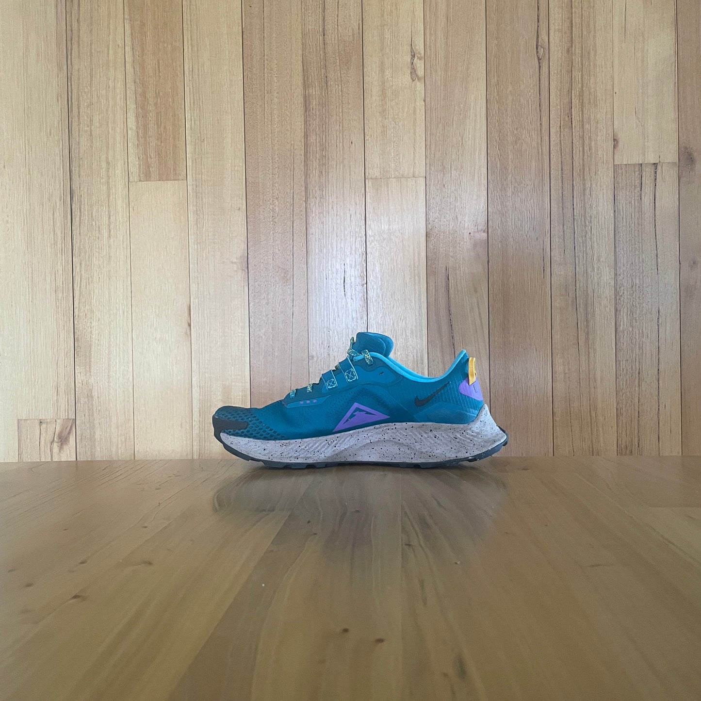 2021 Nike Pegasus Trail 3