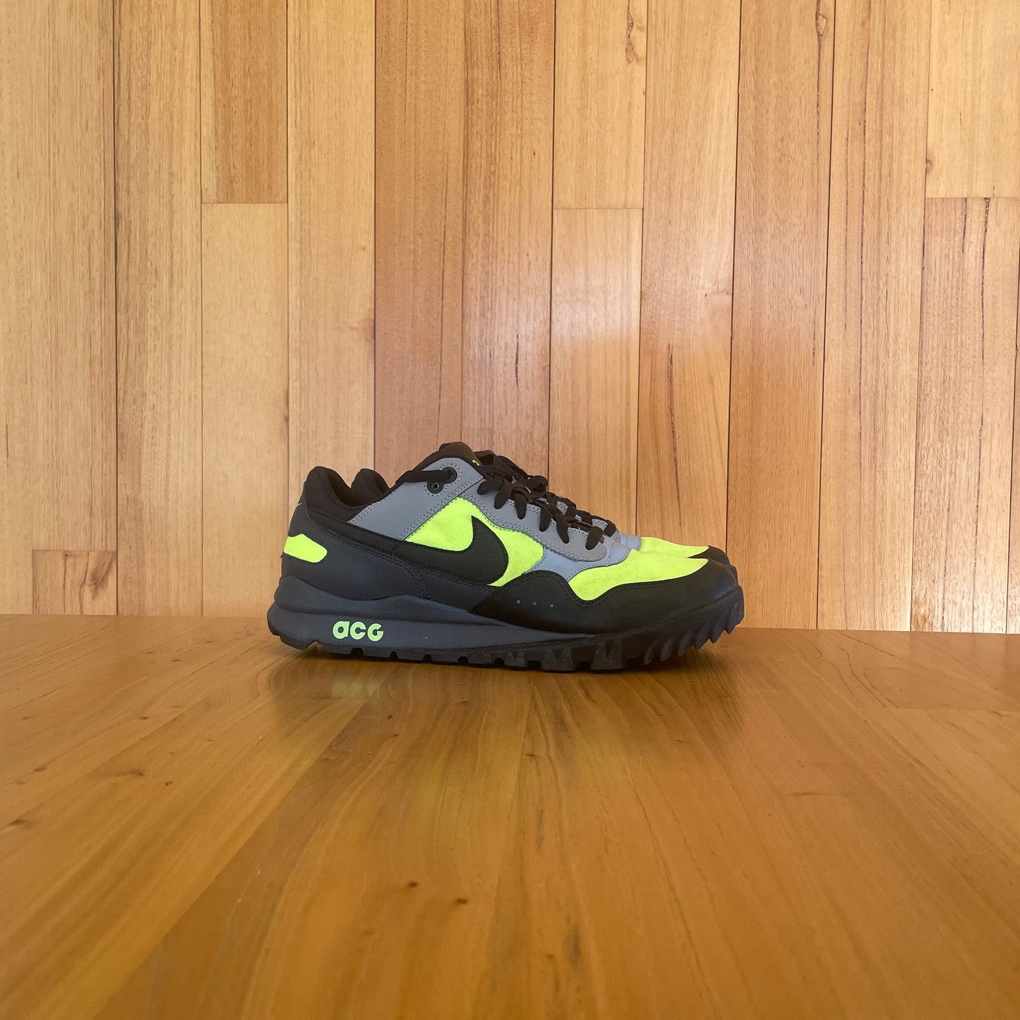 2009 Nike ACG Wild Pegasus