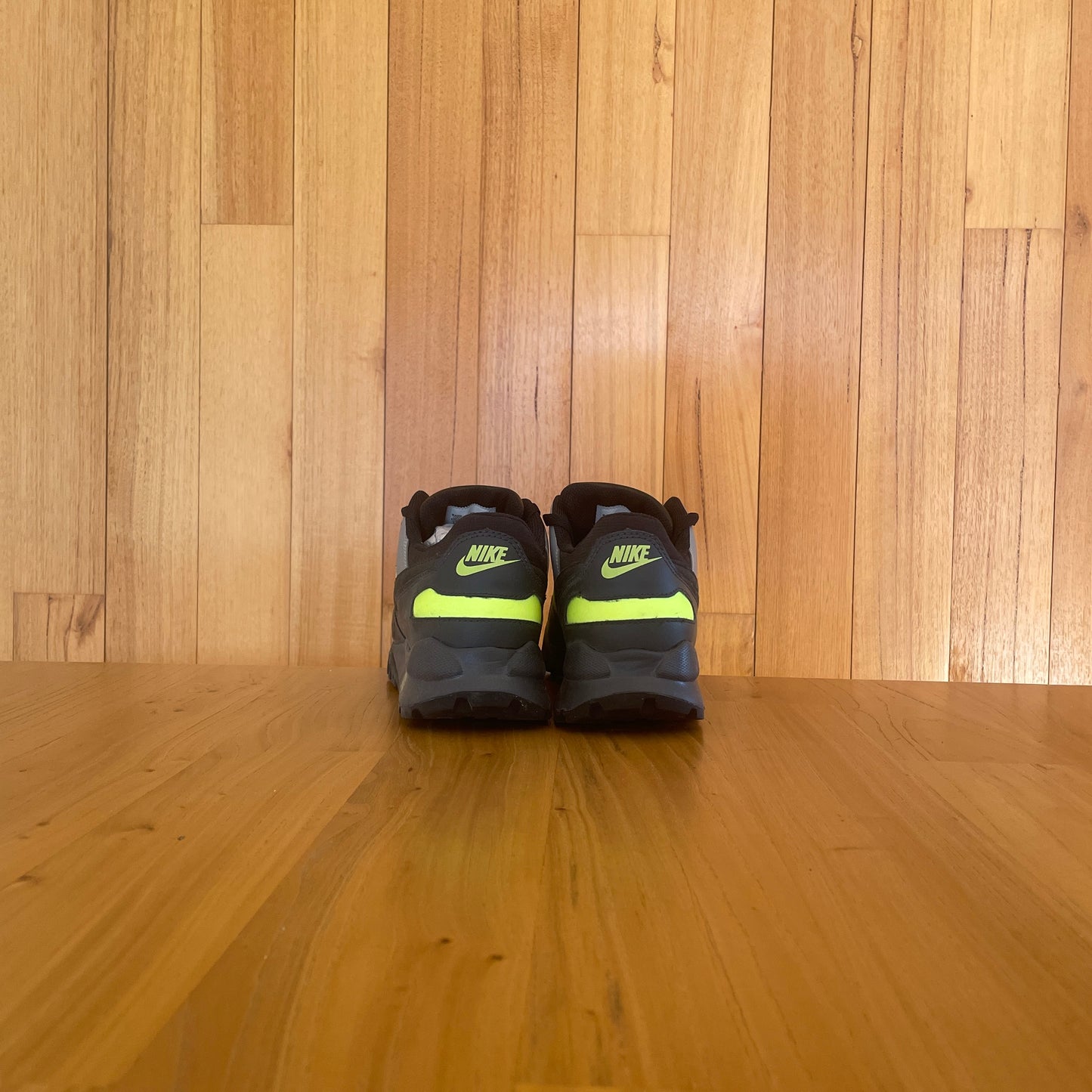 2009 Nike ACG Wild Pegasus