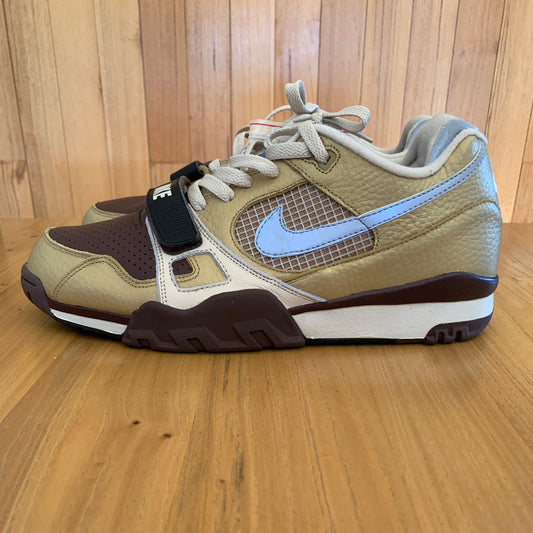 2007 NikeSB Air Trainer 2 Metallic Gold / Reflect Silver