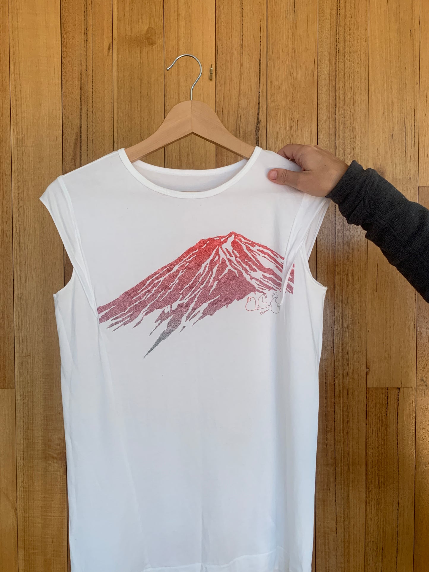 Nike ACG Consider the Future T-Shirt (Womens)